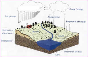 WaterCycle.jpg (71046 bytes)