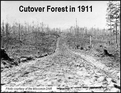 history of logging in wisconsin