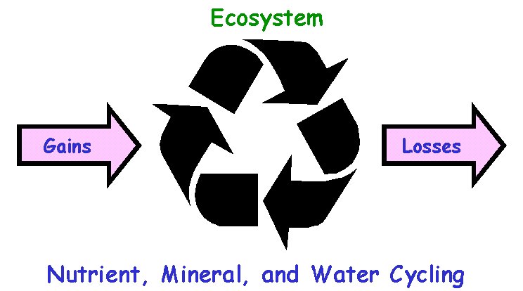 calcium nutrient cycle